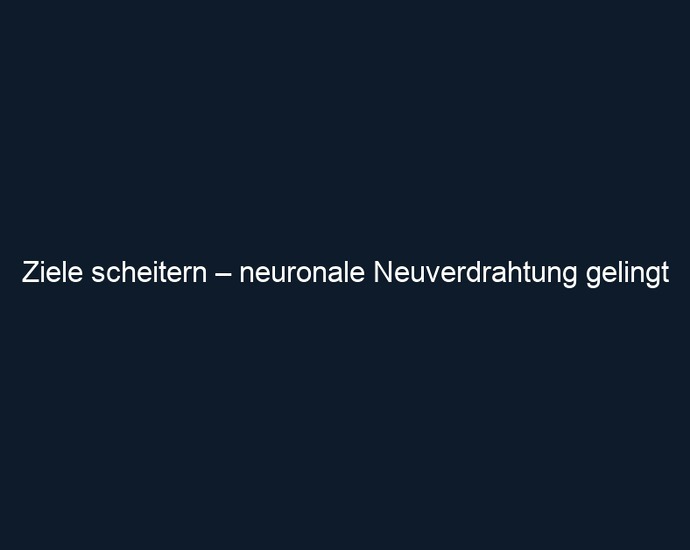 Ziele scheitern – neuronale Neuverdrahtung gelingt