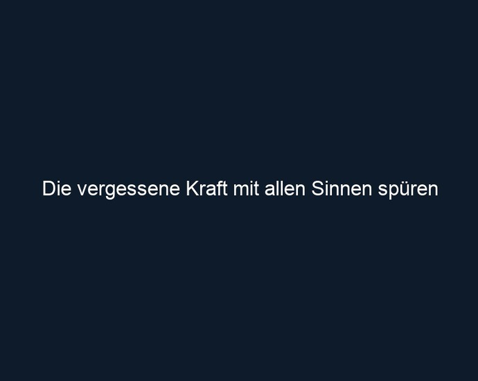 Die vergessene Kraft mit allen Sinnen spüren