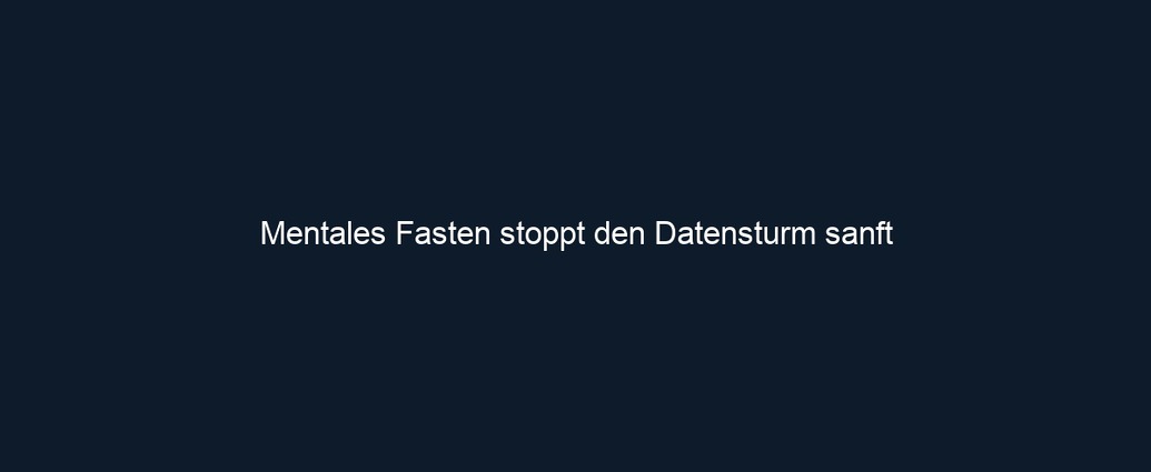 Mentales Fasten stoppt den Datensturm sanft