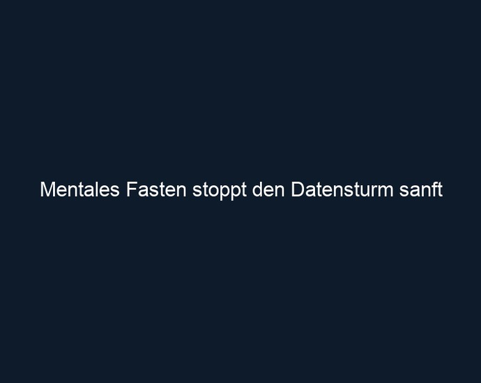 Mentales Fasten stoppt den Datensturm sanft