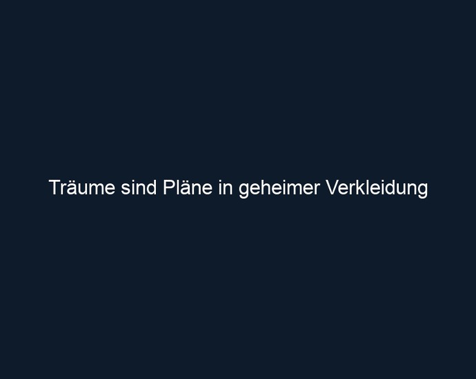 Träume sind Pläne in geheimer Verkleidung