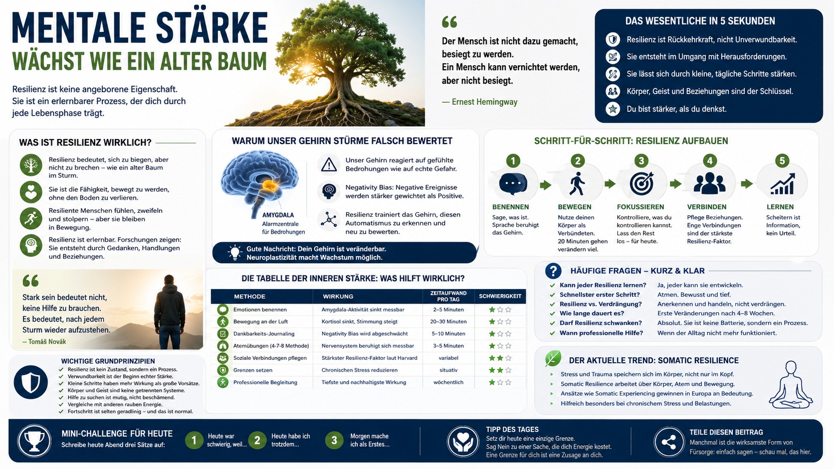 Infografik Mentale Stärke wächst wie ein alter Baum