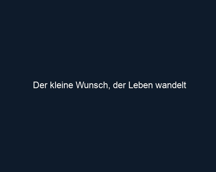 Der kleine Wunsch, der Leben wandelt 