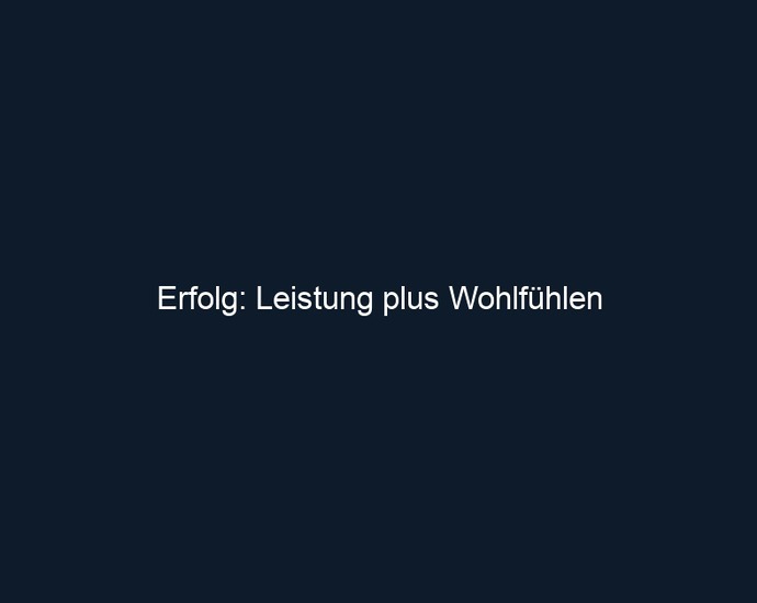 Erfolg: Leistung plus Wohlfühlen
