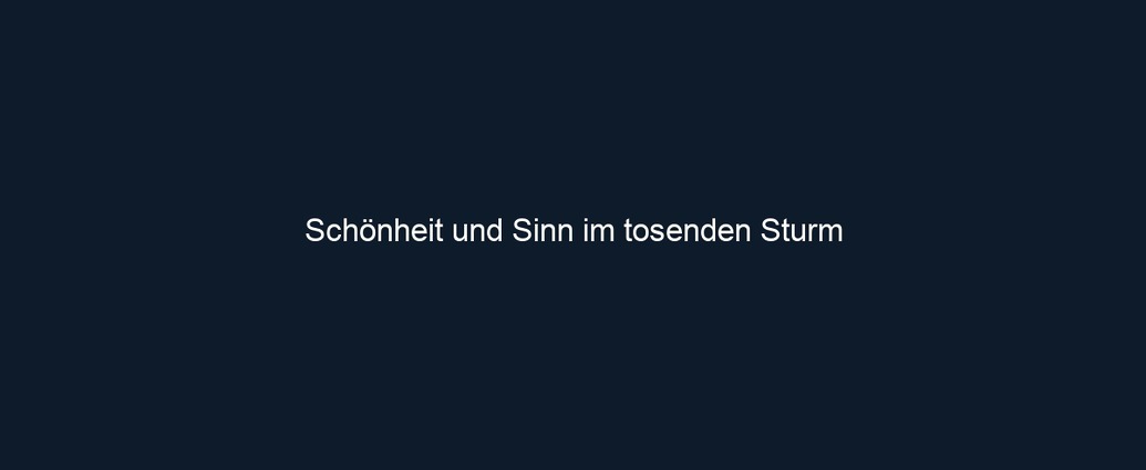 Schönheit und Sinn im tosenden Sturm