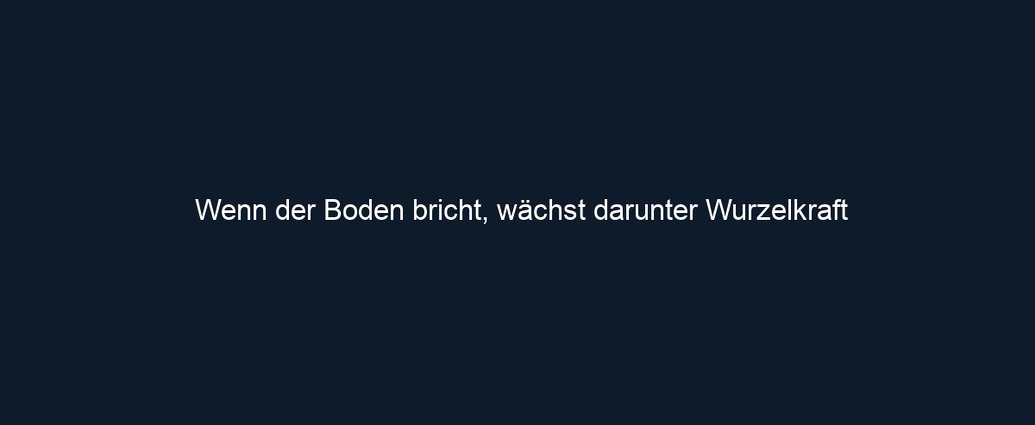 Wenn der Boden bricht, wächst darunter Wurzelkraft