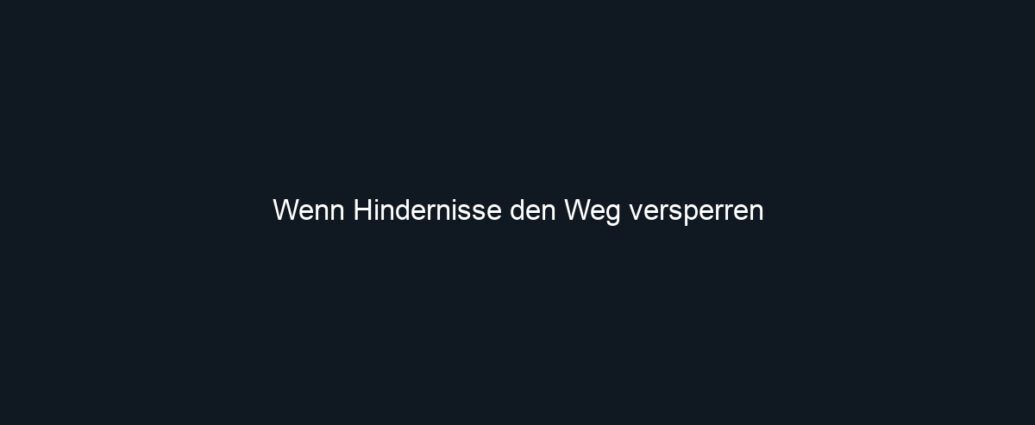 Wenn Hindernisse den Weg versperren