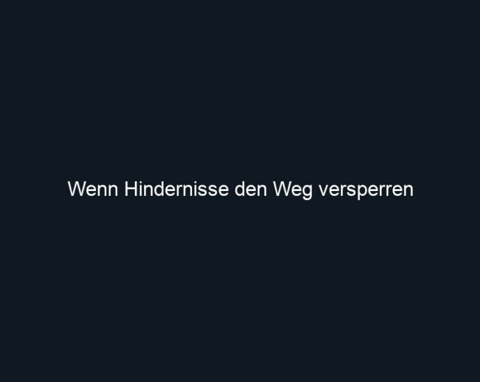 Wenn Hindernisse den Weg versperren