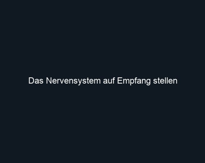 Das Nervensystem auf Empfang stellen