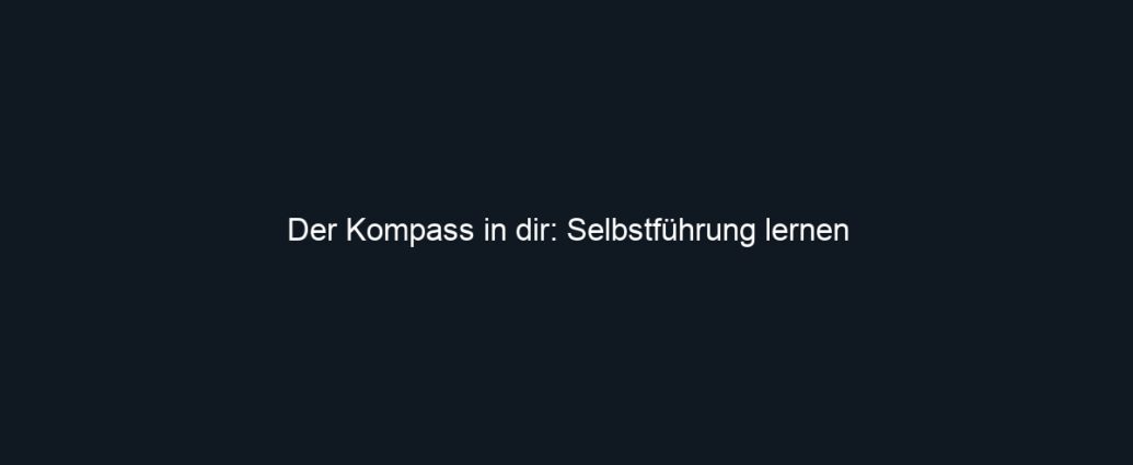 Der Kompass in dir: Selbstführung lernen