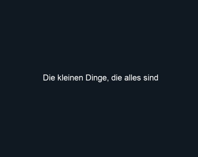 Die kleinen Dinge, die alles sind