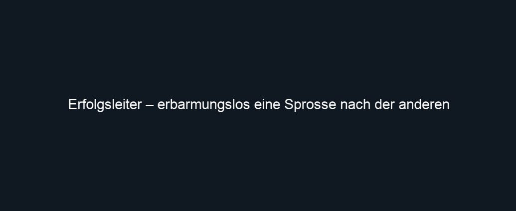 Erfolgsleiter – erbarmungslos eine Sprosse nach der anderen
